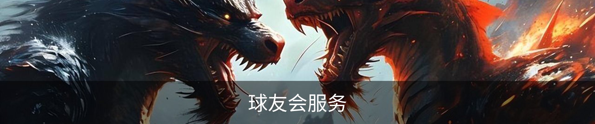 球友会服务